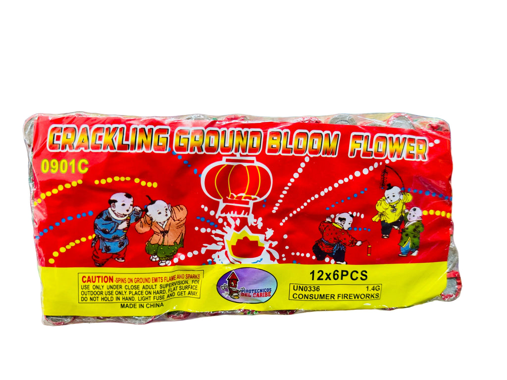 Rosita China x 72unds