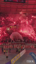 Bengala Portuaria profesional Junior